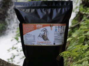 What Are the Benefits of MSM for Horses.gif