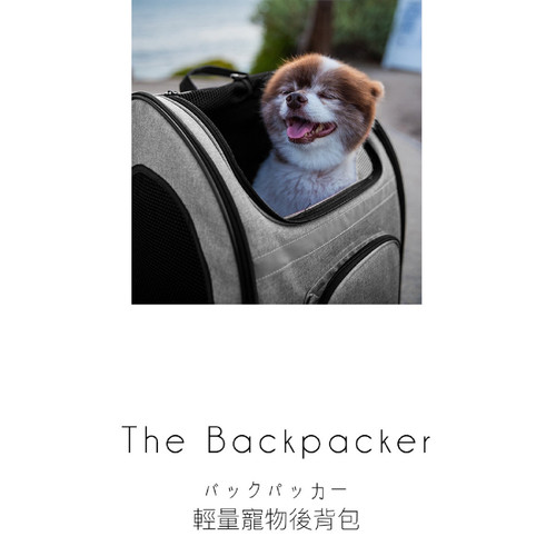 momo backpacker1000x1500 1 WH 1200x1200px.jpg