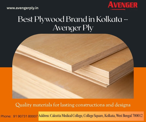 Best Plywood Brand in Kolkata – Avenger Ply.jpg