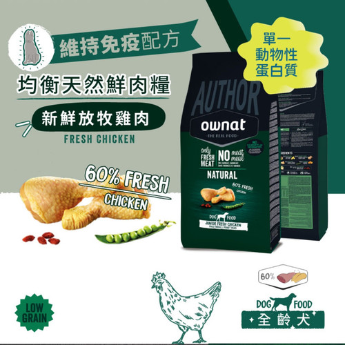 image WH 1200x1200px 2025 07 31T175747.834.jpg