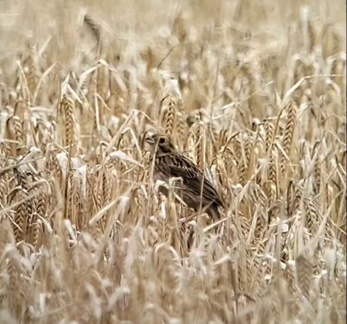 W BPjloynsd3UKeP.jpg