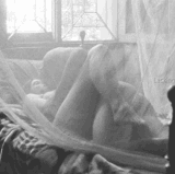 bdsmlr 127798 AEHJPTexDE.gif