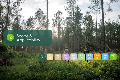 scope and applicability HQ.png