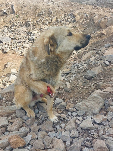 XEqUfNXcTXIlv HaZ0OSkGV177dMfrLGBgupv7QrFU1HqtNLTh 6hc zZUiUu29P1brzlWTqZpz yxznKqYm6baXQe5qT4Y74EB .jpg