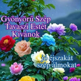 att.DETLcT0hLOCXk1uipj6cfqYydbqSUBUkock4lufHANo