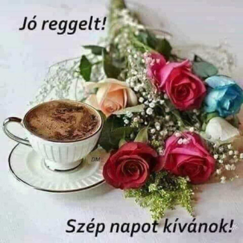 att.sj3GQXwSGpnCPhnchA1HGxDO4YsnuXv gvr2NsZqhuQ.jpg