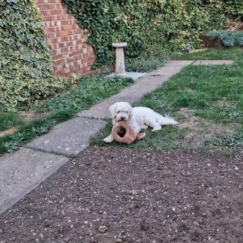 BLb6 e0jS2dzZWhV.jpg