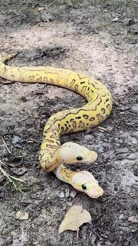 cYQ1q3 QWqhpJP47.jpg