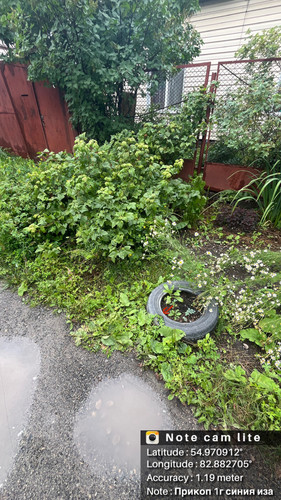 станиск (22).jpg