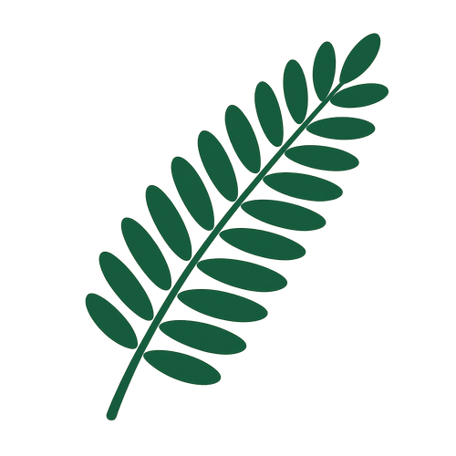 ChatGPT Image Jul 31, 2025, 04 22 42 AM.png