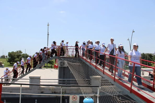 526614273 1446529723340372 3476849180121059025 n.jpg?stp=dst jpg p526x395 tt6& nc cat=110&ccb=1 7& n.jpg