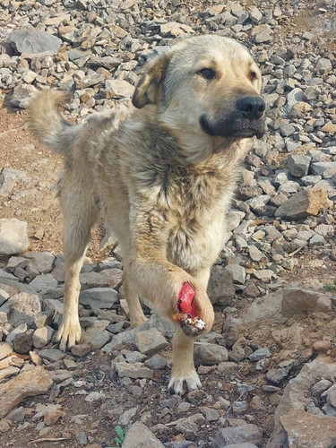 OZiHBjeI2WTJDhxse7l7uhLL0cIvUmcEre5Q7VQweY92U3tjBihUVItzhDRIFzyIoXaUDOZeQXiXekSxBZAsy Wbleizu6fDSvhi.jpg