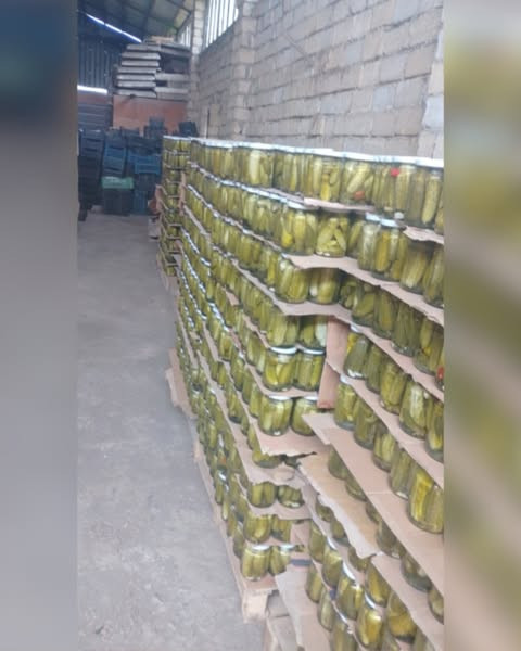 525434978 1676327609834542 6589675202214304382 n.jpg?stp=dst jpg s600x600 tt6& nc cat=103&ccb=1 7& n.jpg