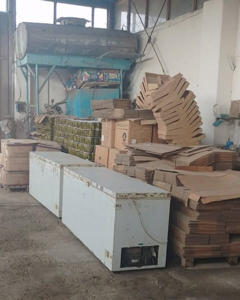 525071065 1676327606501209 7692418946637510904 n.jpg?stp=dst jpg s600x600 tt6& nc cat=102&ccb=1 7& n.jpg