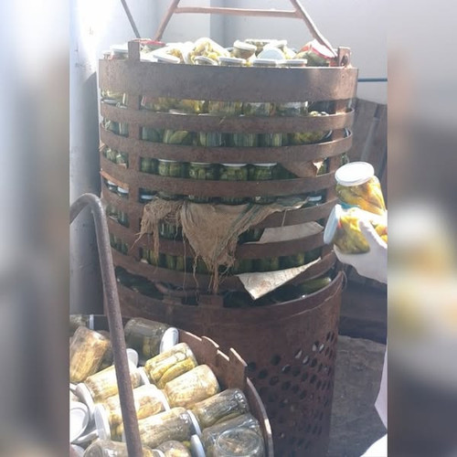 524997756 1676327956501174 2056919000339040778 n.jpg?stp=dst jpg s600x600 tt6& nc cat=100&ccb=1 7& n.jpg