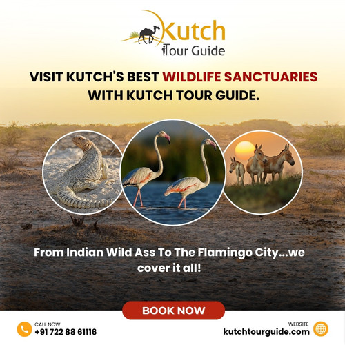 Visit Kutch's Best Wildlife Sanctuaries with Kutch Tour Guide..jpg