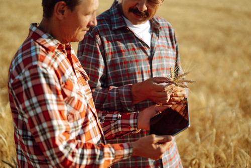 farmers with tablet field modern agriculture technology smart farming concept 217236 6970.jpg