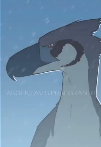 firefox rj5yY7K7Ny.png