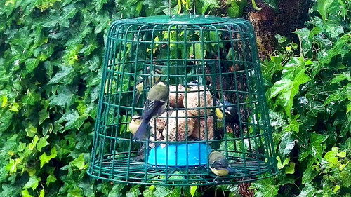 QDYvbOFp DLIgxGq.jpg