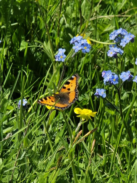 518339311 1150579013779888 7350380792471299945 n.jpg?stp=dst jpg s600x600 tt6& nc cat=107&ccb=1 7& n.jpg