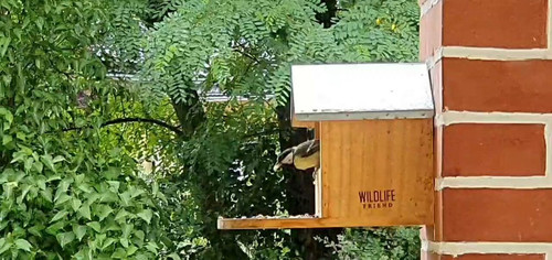 f QUR7R7V5RsNZAn.jpg