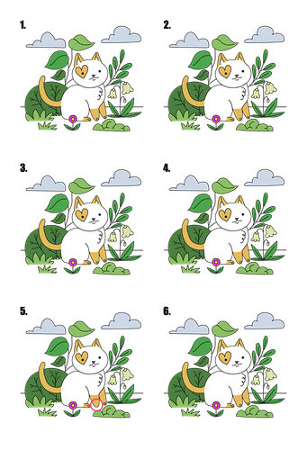 แกะดำ ตัวอย่าง ans.png