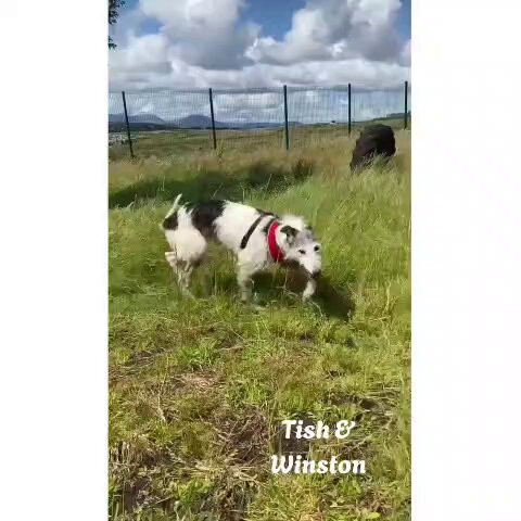 MFq Jcih7lQgC9cF.jpg