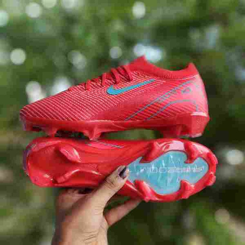 img5 1752509734843.jpg