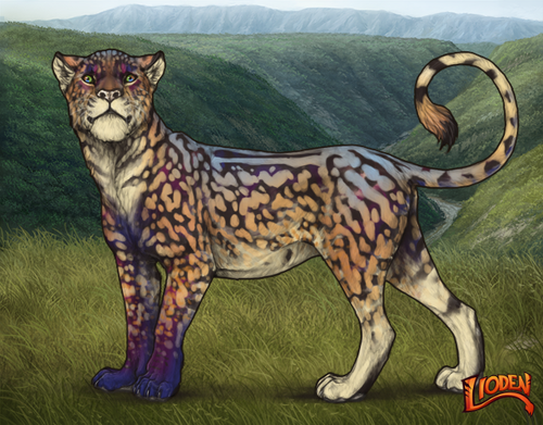 lioden wardrobe (15).png