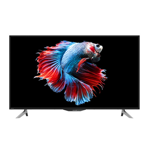 BD9F681AF3 Product 22634414.jpg