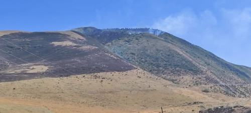 514279777 1169054638585477 6284851051658889682 n.jpg?stp=dst jpg s600x600 tt6& nc cat=105&ccb=1 7& n.jpg