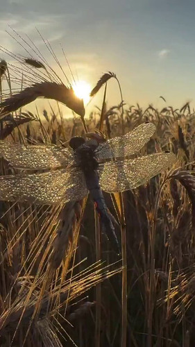 Zi0bXb6KR M EIY7.jpg