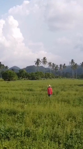 mQKtYPMGNN0i5j p.jpg