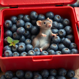 www.naked-ai.art - A red box of blue berries with a rat dancing inside