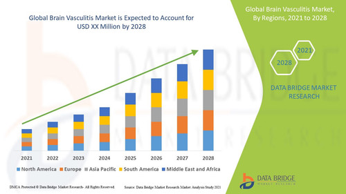 Brain Vasculitis Market.jpg