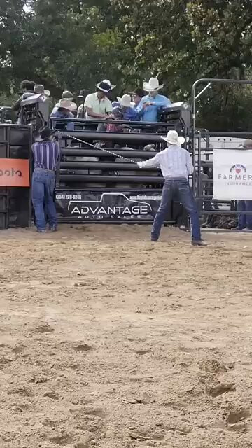 yQDT9TALd06p24p .jpg