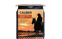 Caliber Working Horse Preview.jpg?MOD=AJPERES&CACHEID=ROOTWORKSPACE.jpg