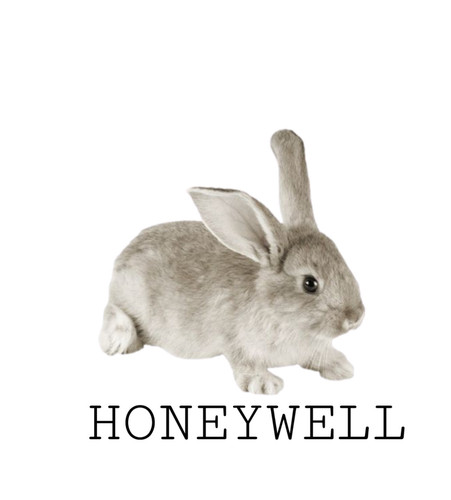 E62F0FBE 7CF6 424C 9804 3AD1F520DDFD.jpg