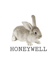 E62F0FBE 7CF6 424C 9804 3AD1F520DDFD.jpg