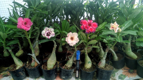 img 20240806 133956.jpg