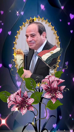 tDnHGF8 N0F9DUtc.jpg