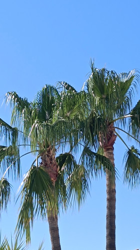 IMG 20250713 173206 kopie.jpg