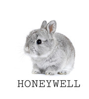 208ECB4B C5AD 4711 93C8 14B50C93DD05.jpg