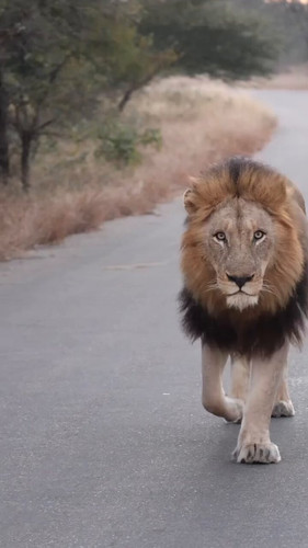 dUdYATS s23r1pFF.jpg