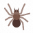 icons8 araña.gif