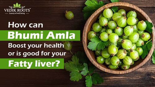 How can bhumi amla boost your health or is good for your fatty liver.jpg