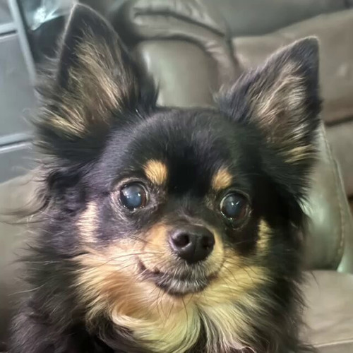 Uup2ud 3HIh4s2 9.jpg