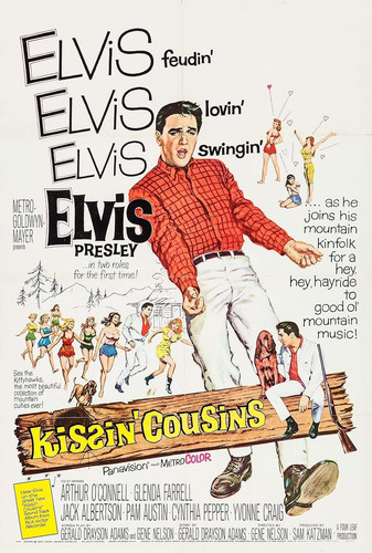 MV5BOTRmMDU4Y2EtM2RmYS00YmYwLWI1MjQtYjk4OTNiN2M4NjEyXkEyXkFqcGc@. V1 FMjpg UX1000 .jpg