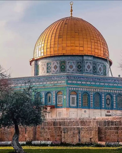 tPaN38 RGxihhCrT.jpg