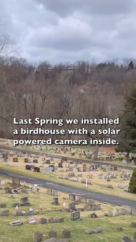 mtFpjaMFlXS gwjw.jpg